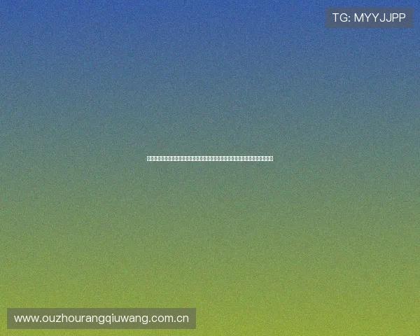 挪威法国世界杯比赛中文解说现场报道与赛后分析让你第一时间掌握比赛最新信息